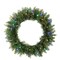 Northlight 24" Pre-Lit Northern Pine Artificial Christmas Wreath - Multi-Color LED Lights